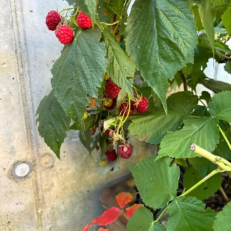 Familiengarten Apartament Volders