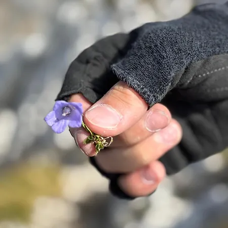 Апартаменты Familiengarten